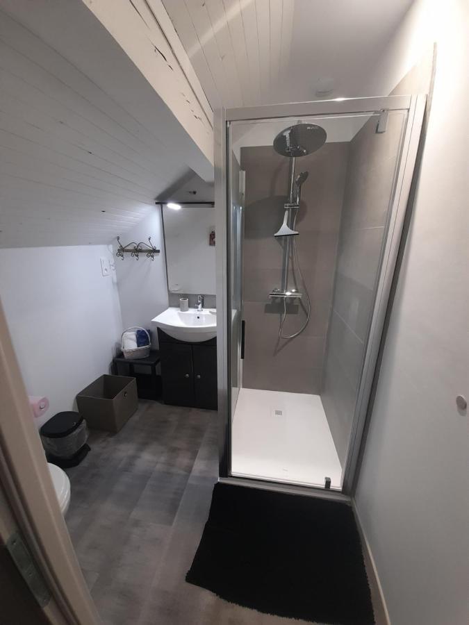 Villa Detente Dauphinoise Saint-Andre-le-Gaz Eksteriør billede